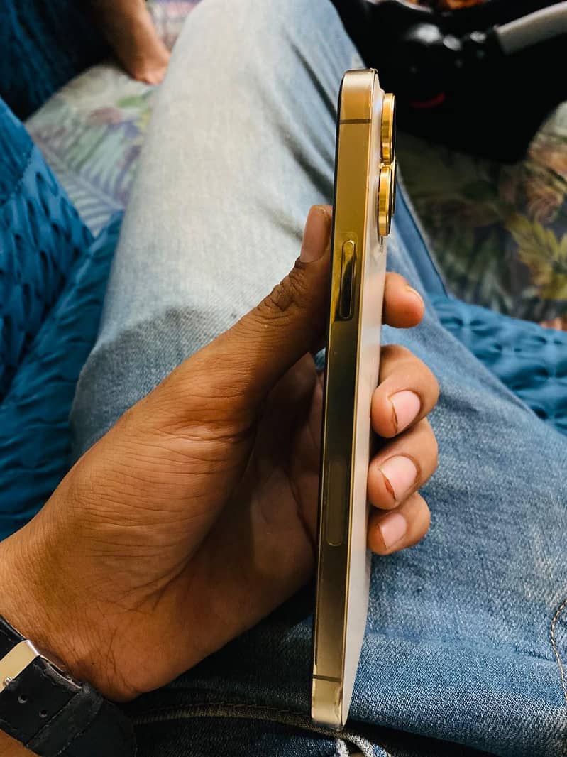 Apple iPhone 13 Pro Max 3