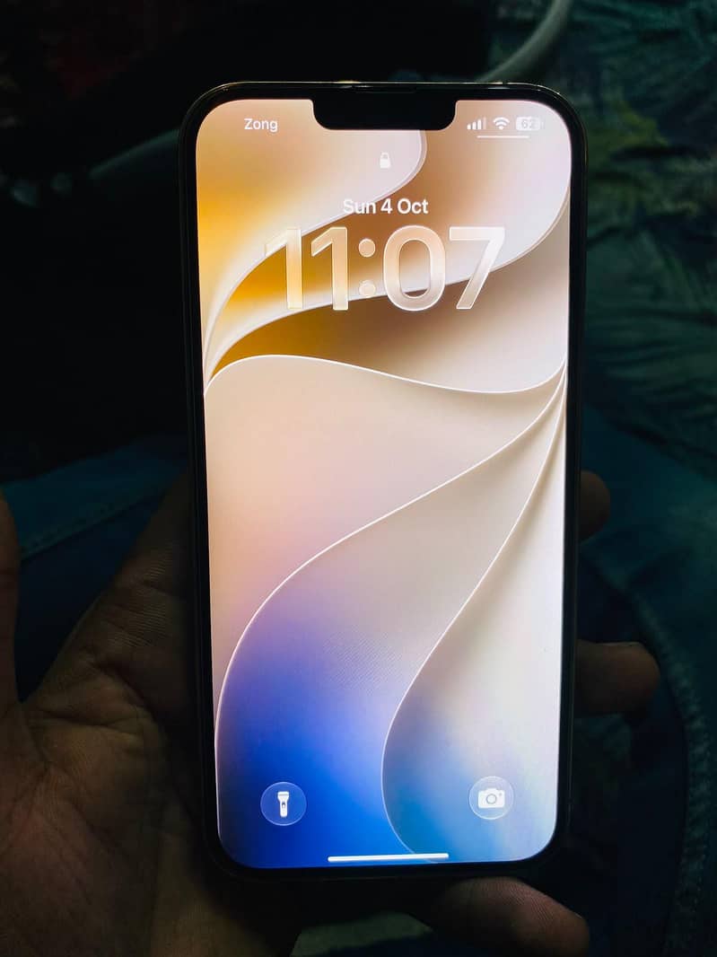 Apple iPhone 13 Pro Max 5