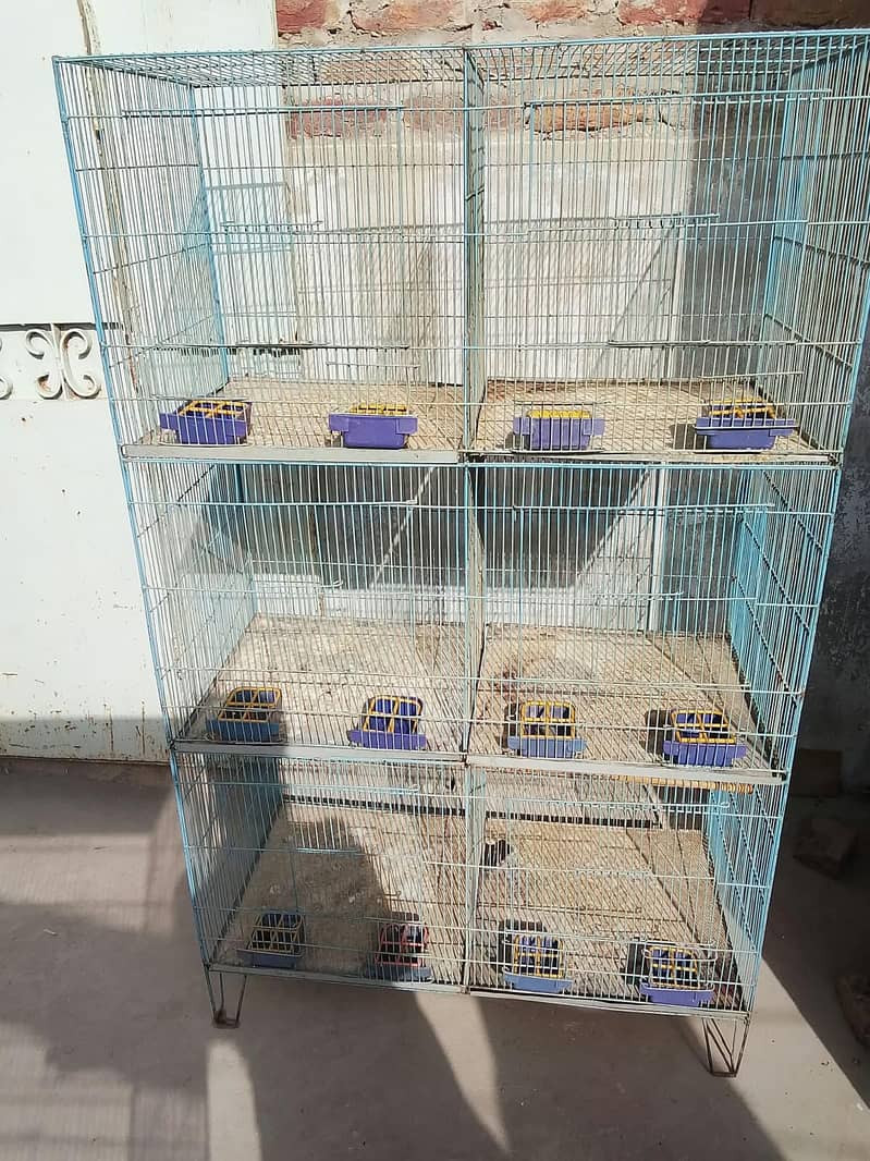 cages 1
