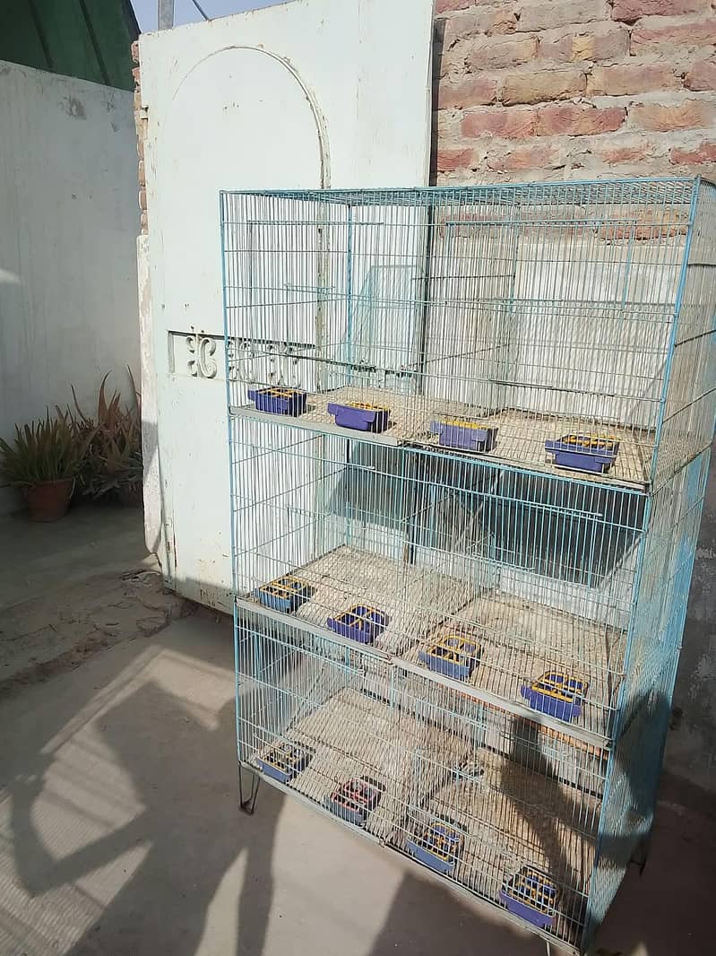 cages 2