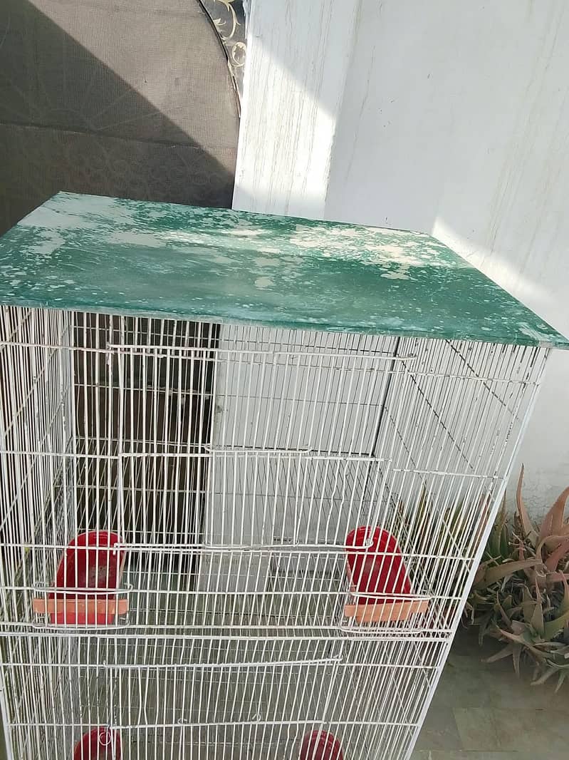 cages 3