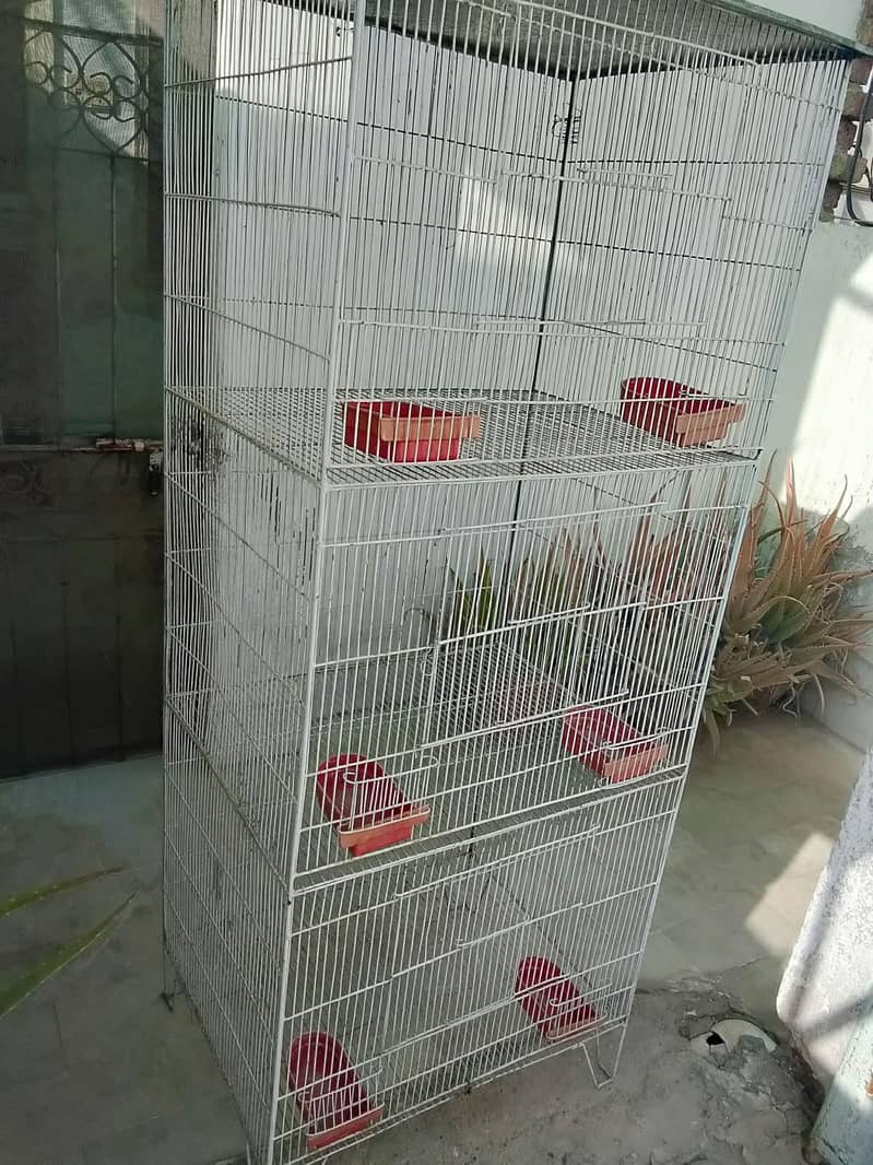cages 6