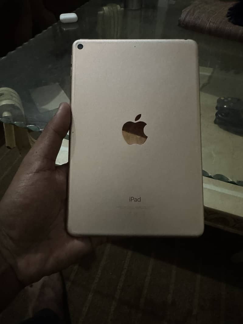 iPad Mini 5 0