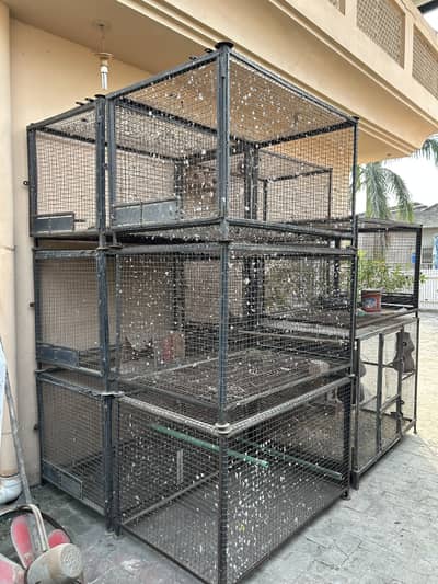 High Quality Big Cages !