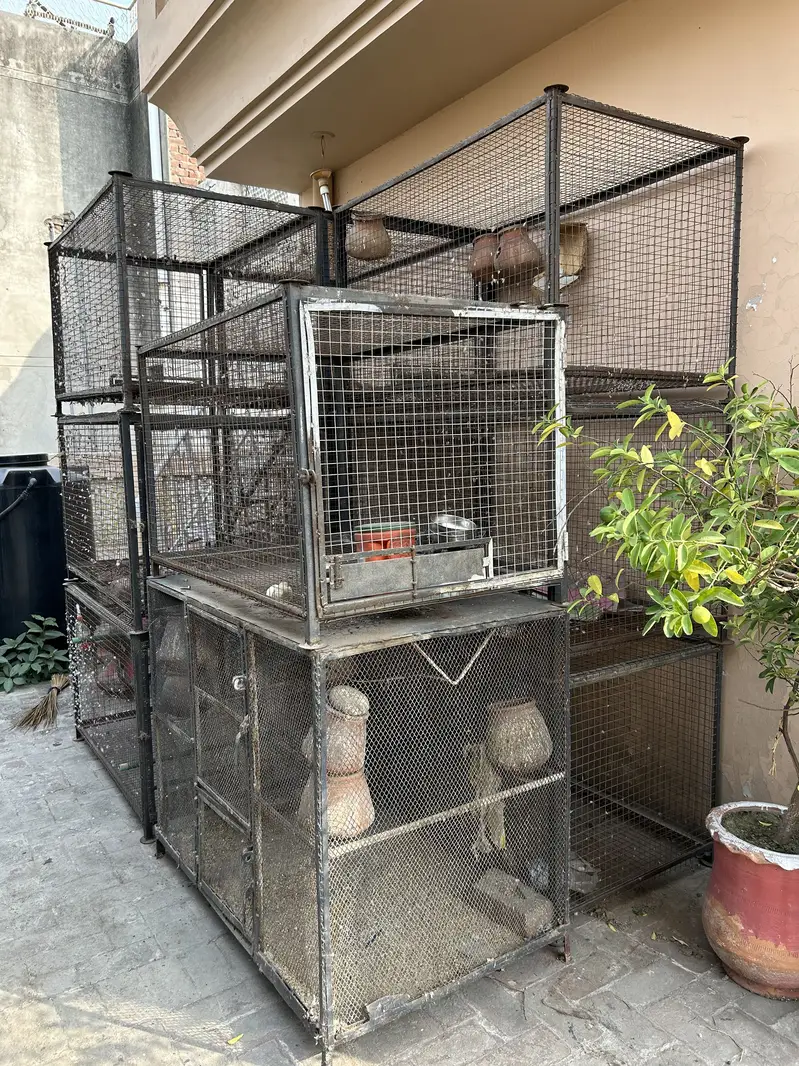High Quality Big Cages ! — photo 3