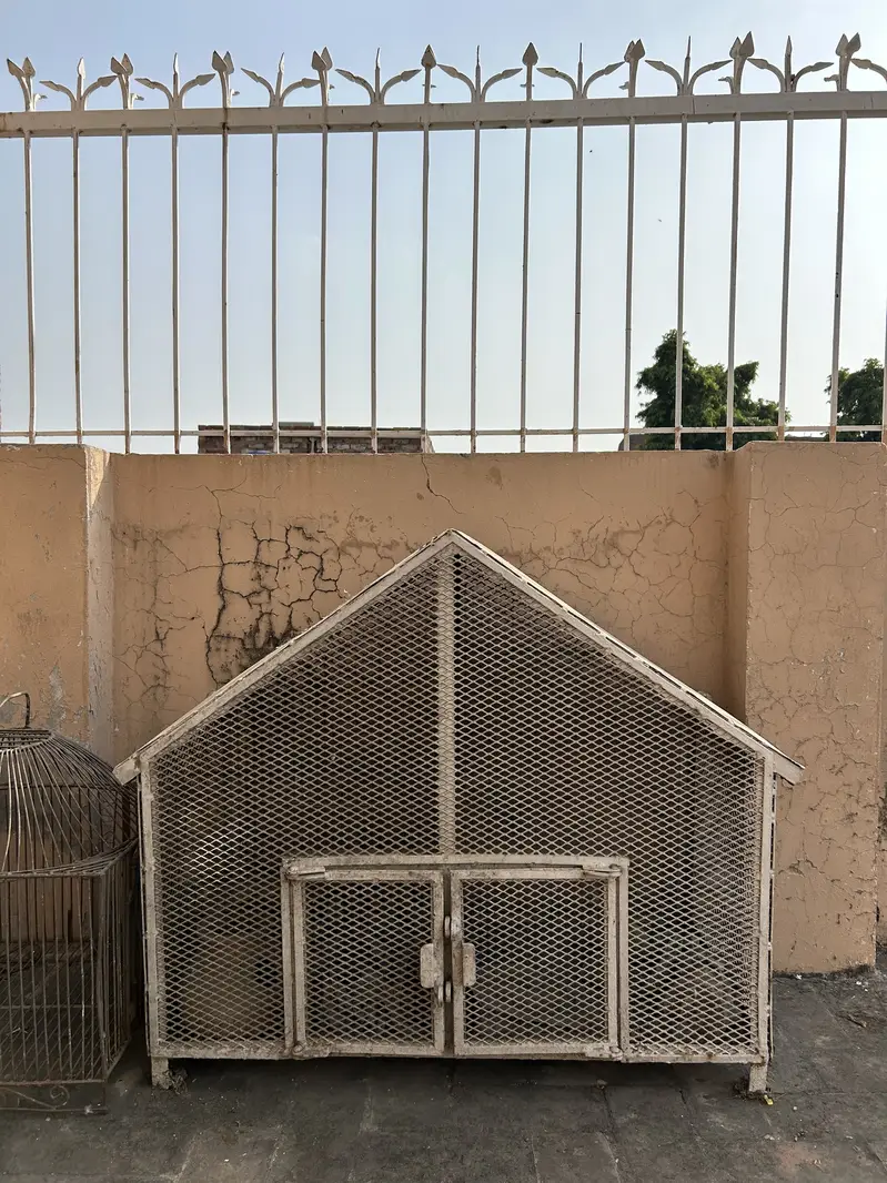 High Quality Big Cages ! — photo 4
