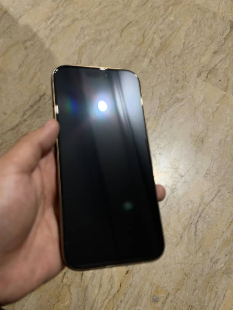 Apple iPhone 16 Pro Max 1