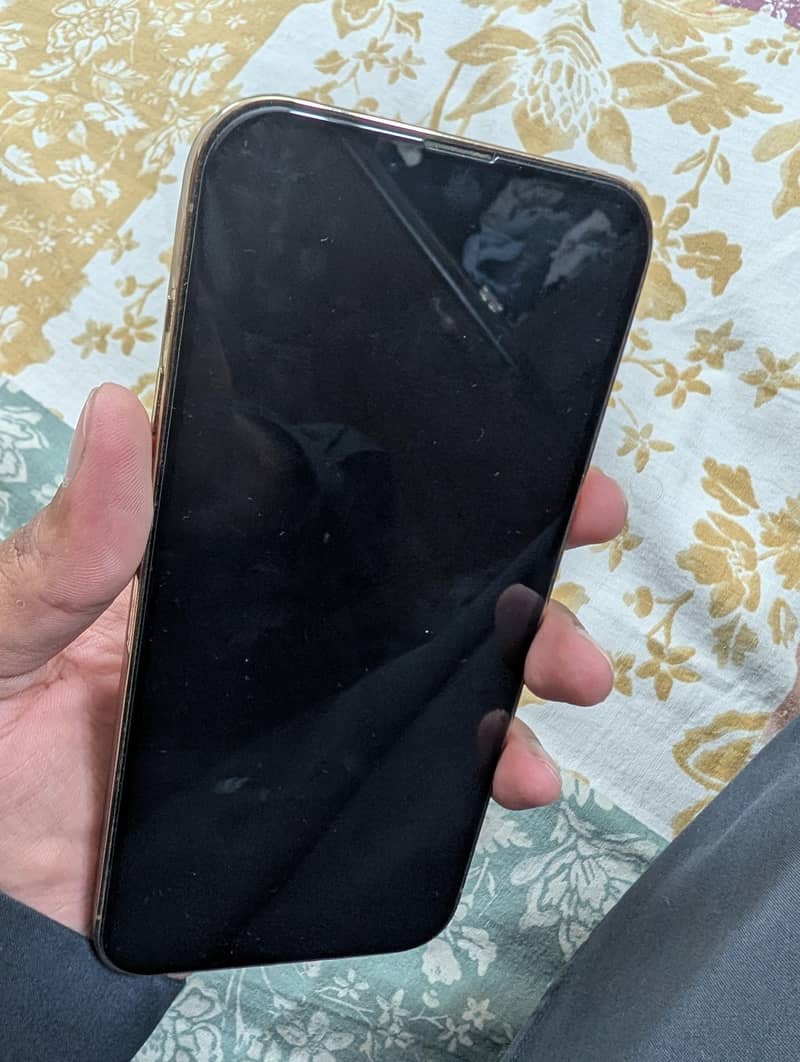 Apple iPhone 13 Pro Max 1
