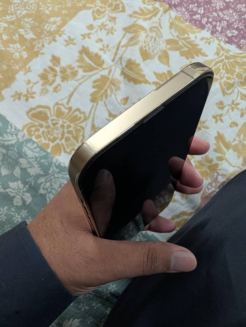 Apple iPhone 13 Pro Max 2