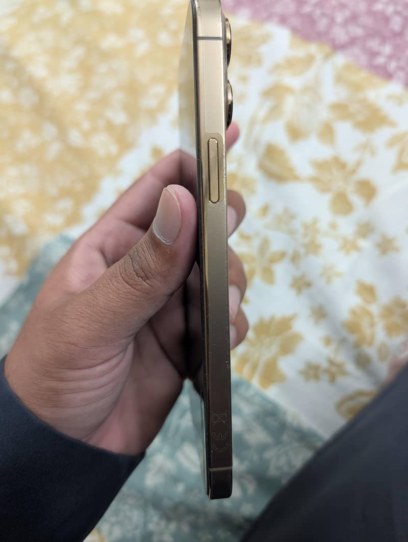 Apple iPhone 13 Pro Max 3