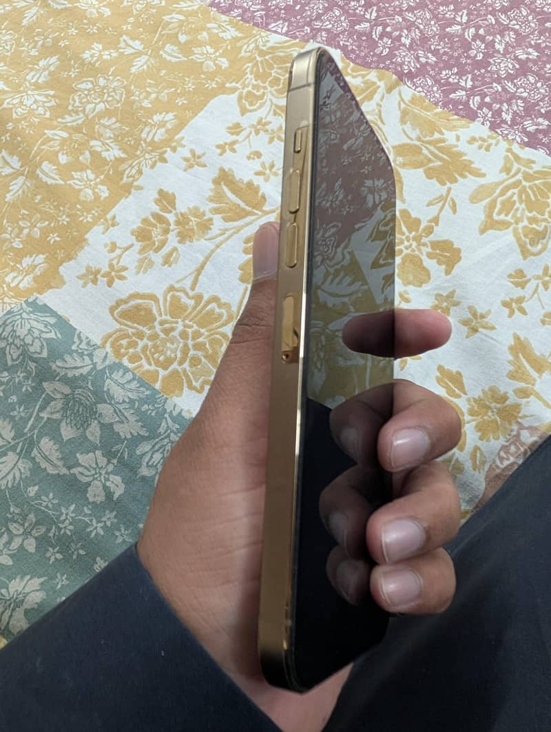Apple iPhone 13 Pro Max 4