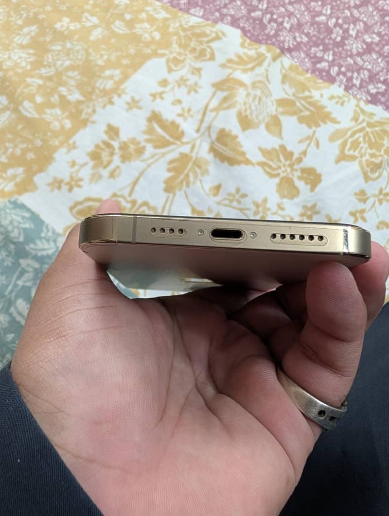 Apple iPhone 13 Pro Max 5