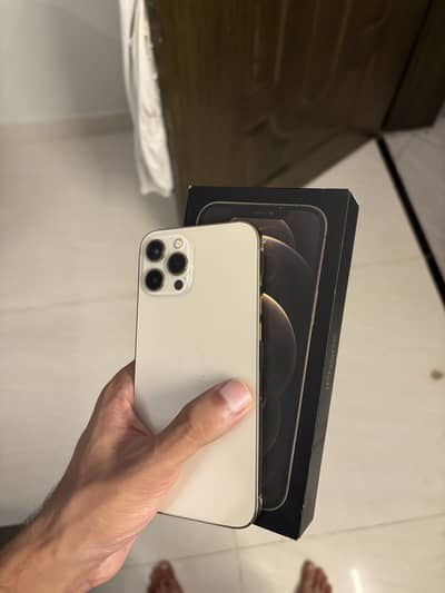 Apple iPhone 12 Pro Max