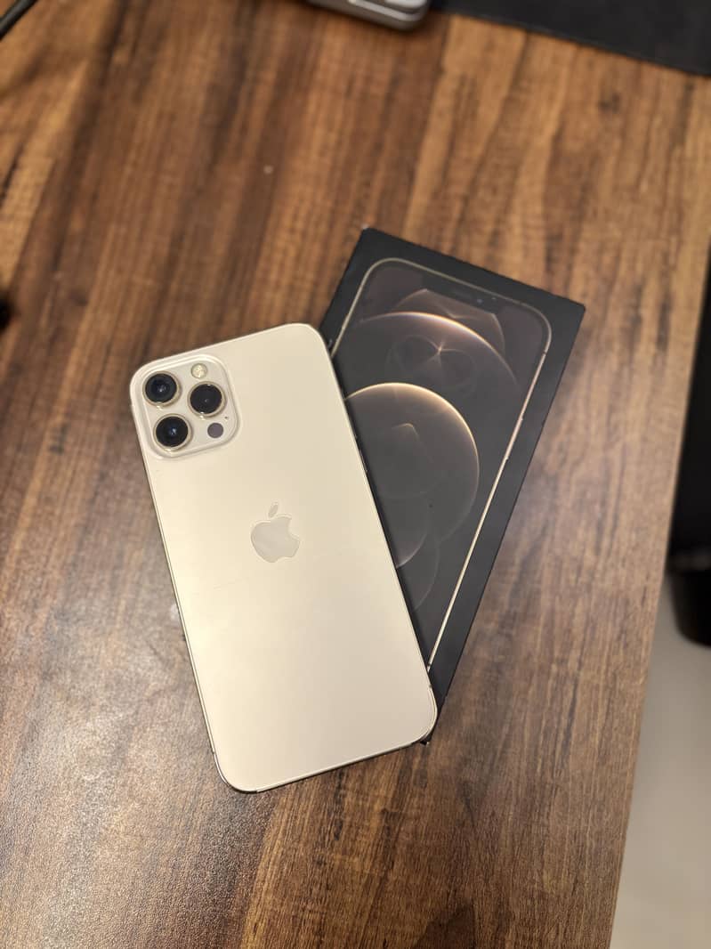 Apple iPhone 12 Pro Max 1