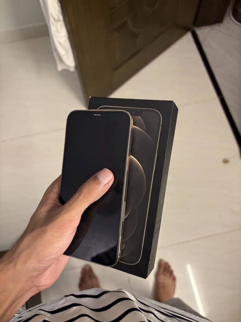 Apple iPhone 12 Pro Max 2