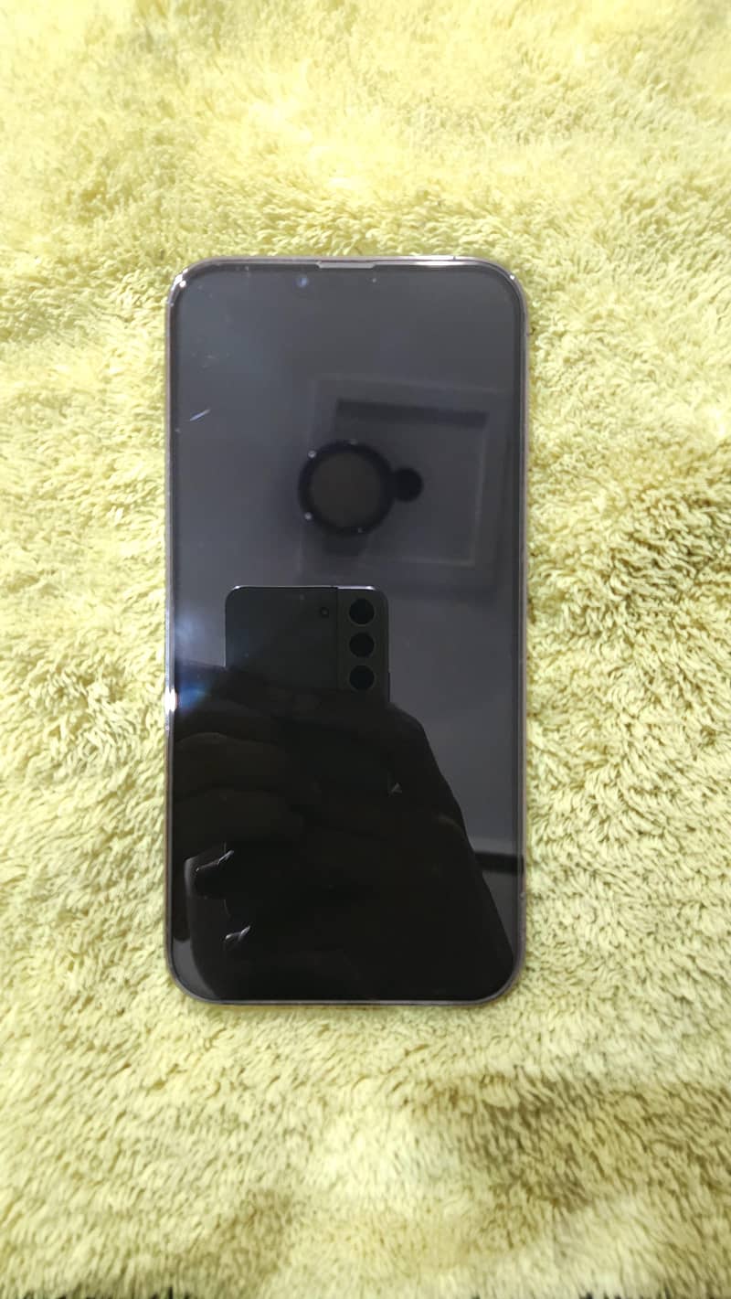 Apple iPhone 13 Pro Max 1
