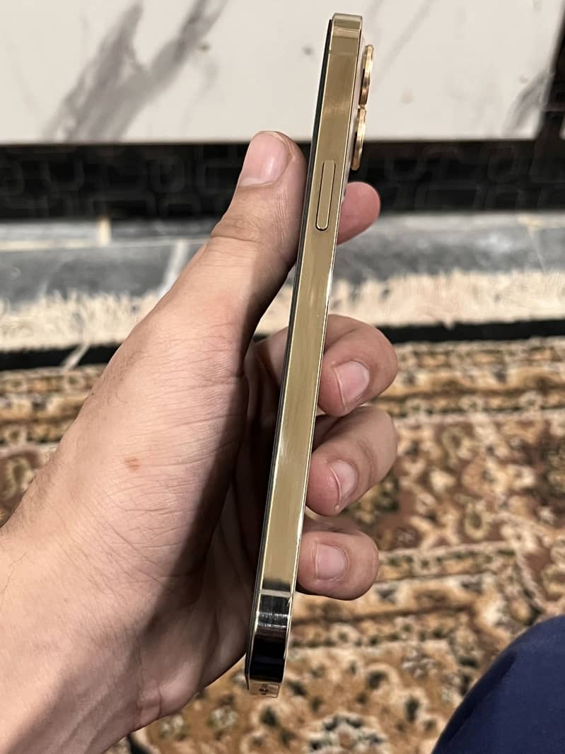 Apple iPhone 12 Pro Max 1