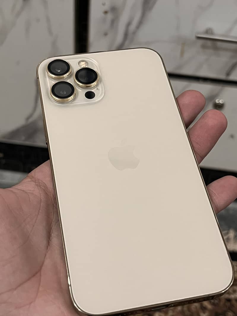 Apple iPhone 12 Pro Max 2