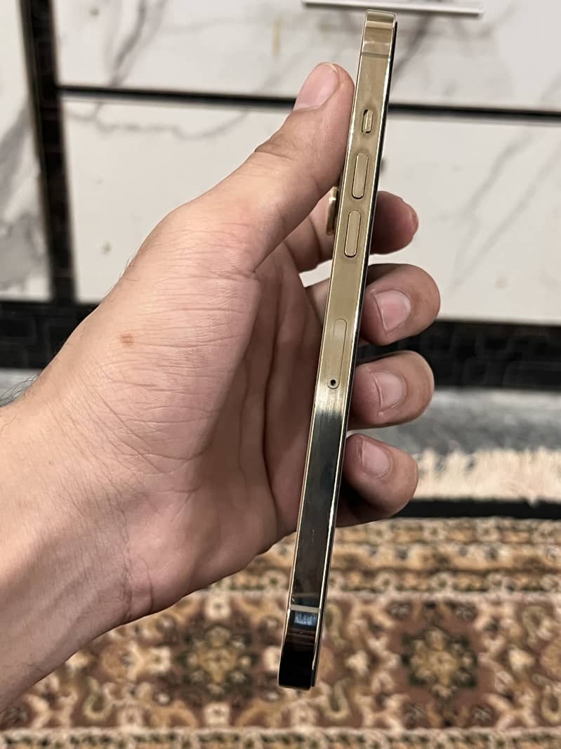 Apple iPhone 12 Pro Max 4