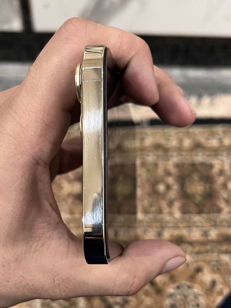 Apple iPhone 12 Pro Max 5