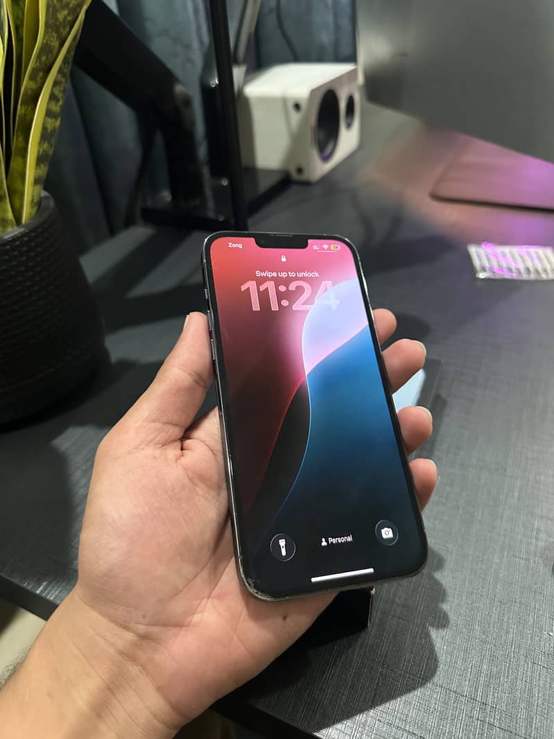 Apple iPhone 13 Pro Max 1