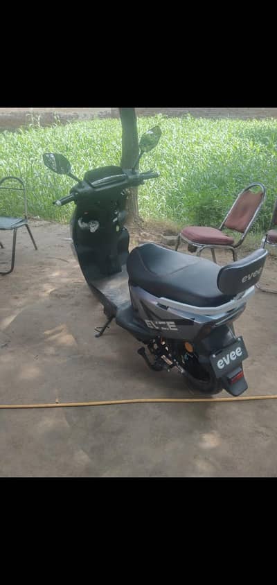 Evee gen-z 2026 model