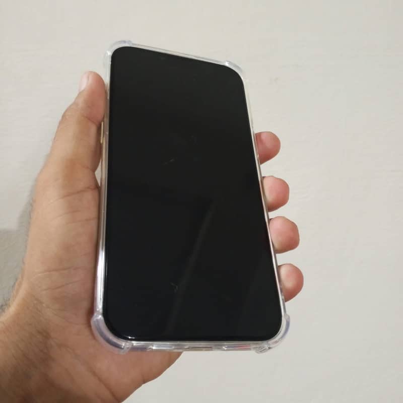 Apple iPhone 13 Pro Max 1