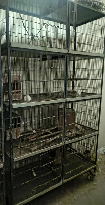 birds cage for sale at a good price