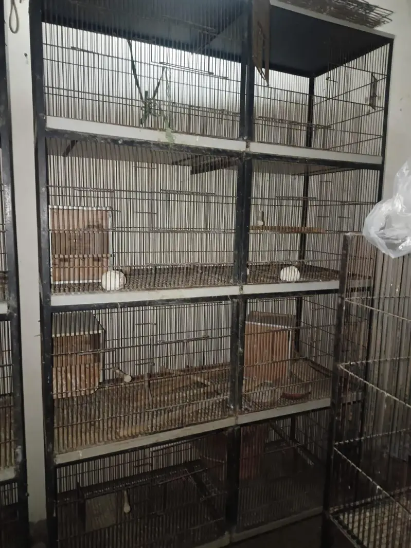 birds cage for sale at a good price — photo 2