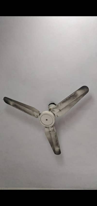 Ceiling fans