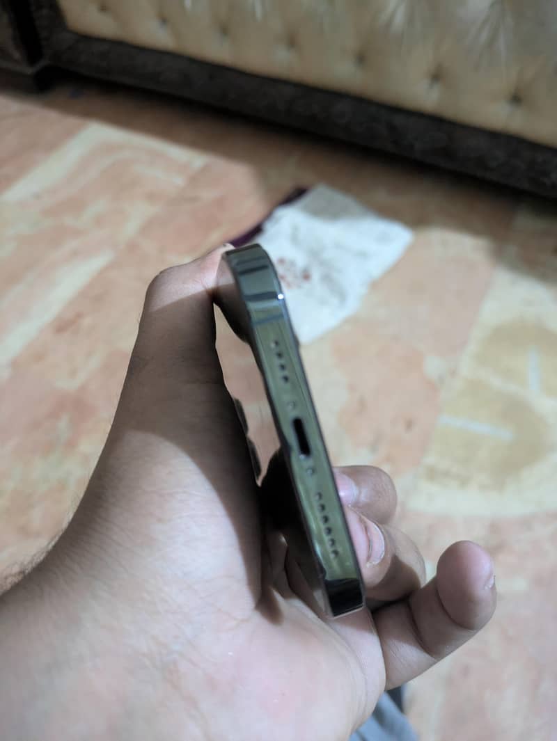 Apple iPhone 13 Pro Max 1