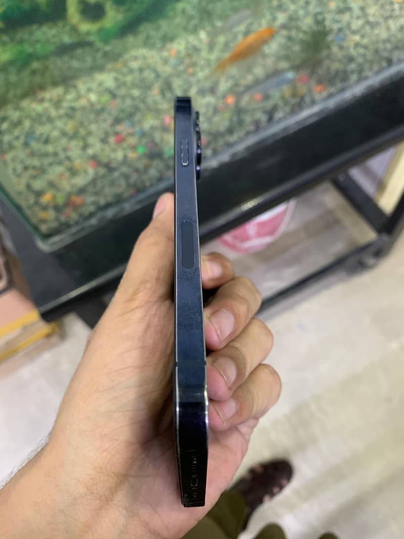 Apple iPhone 12 Pro Max 2