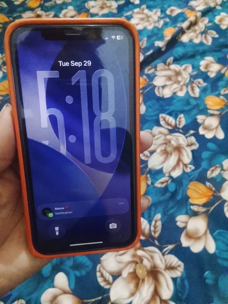 Apple iPhone 11 2