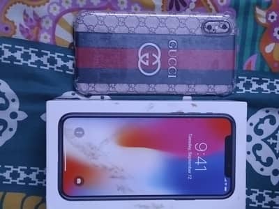 Apple iPhone X