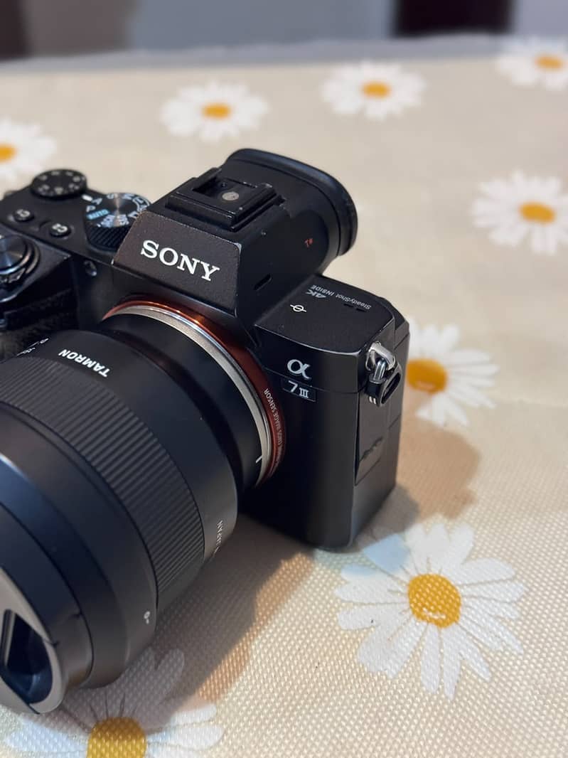 Sony A7III 6