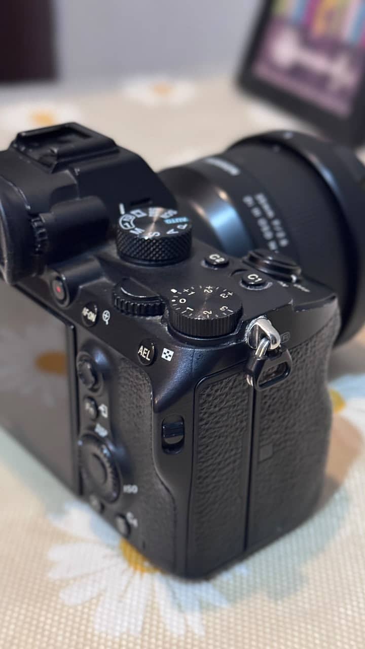 Sony A7III 8