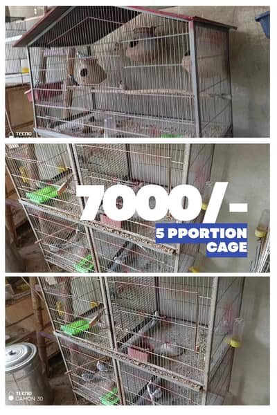 cages used cage for sell
