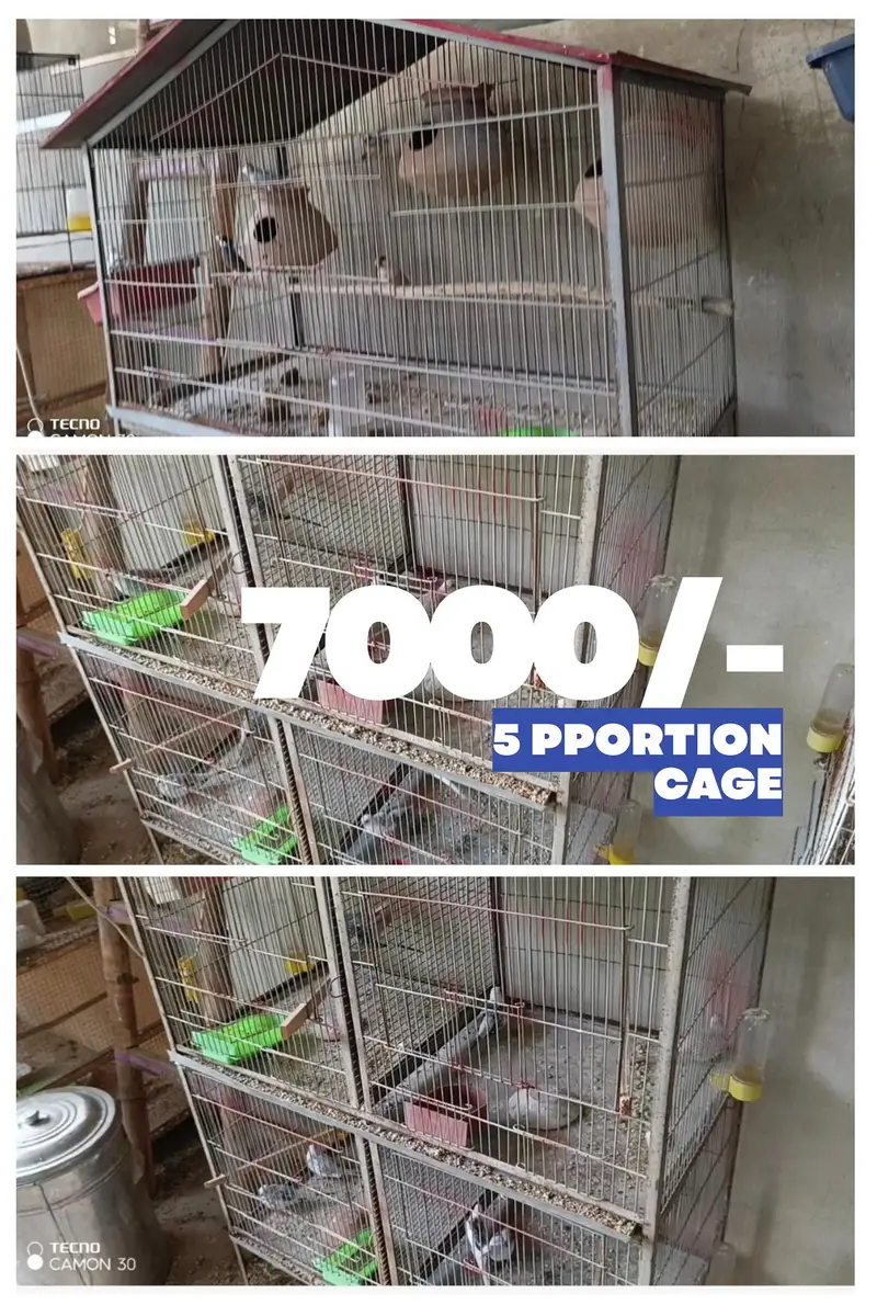 cages used cage for sell — photo 2