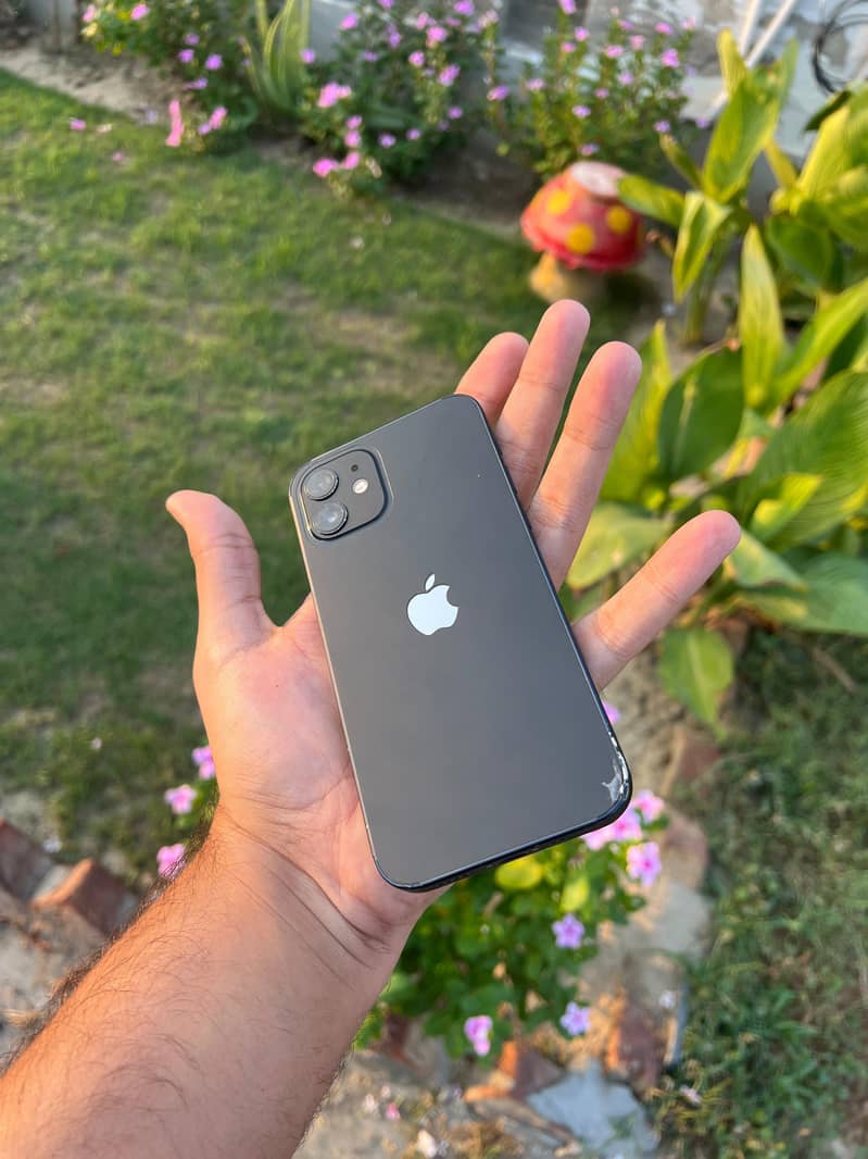 Apple iPhone 12 1