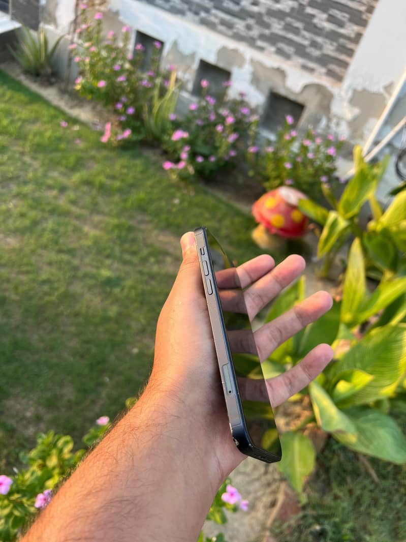 Apple iPhone 12 2