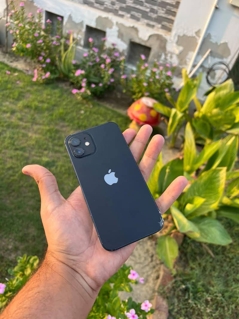 Apple iPhone 12 9