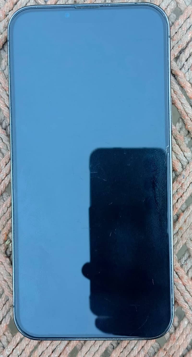 Apple iPhone 13 Pro Max 1