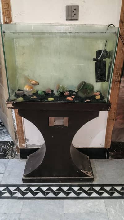 aquarium with fishes for sale