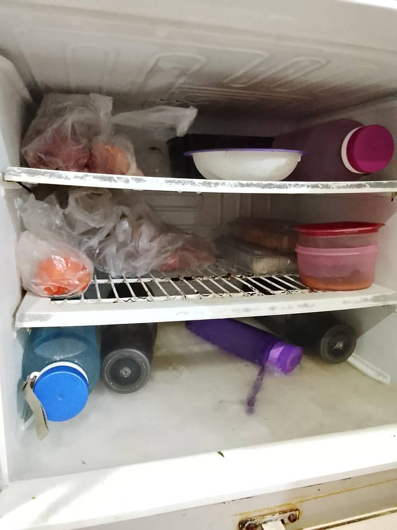 Pel fridge 1
