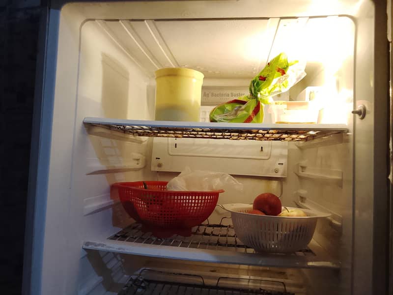 Pel fridge 2