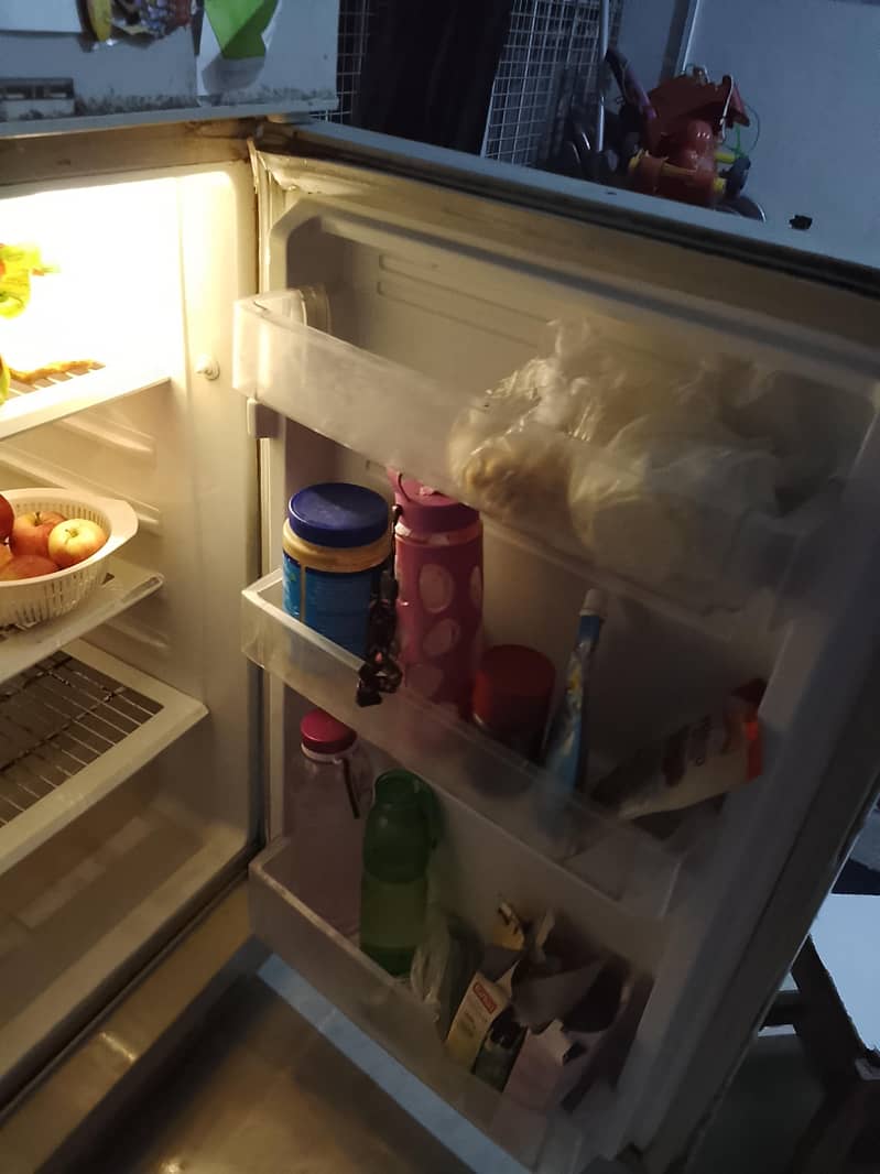 Pel fridge 3