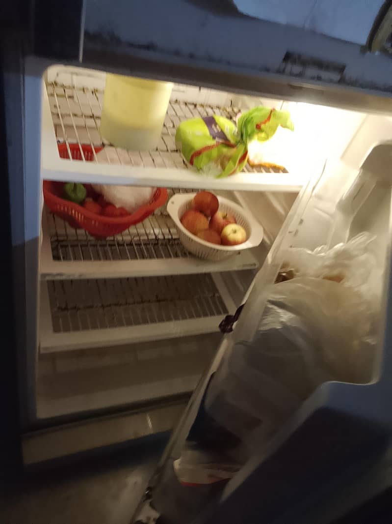 Pel fridge 4