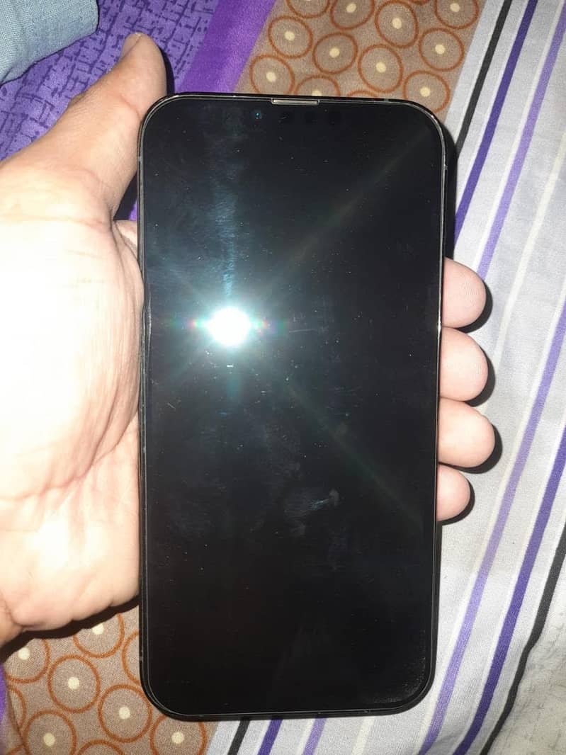 Apple iPhone 13 Pro Max 1