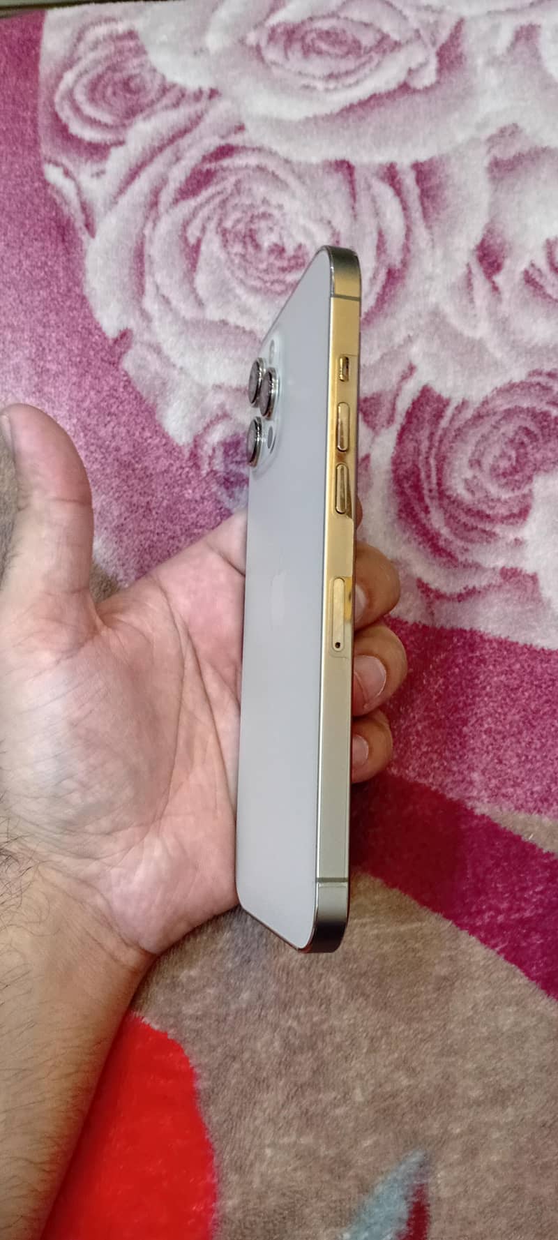 Apple iPhone 12 Pro Max 1