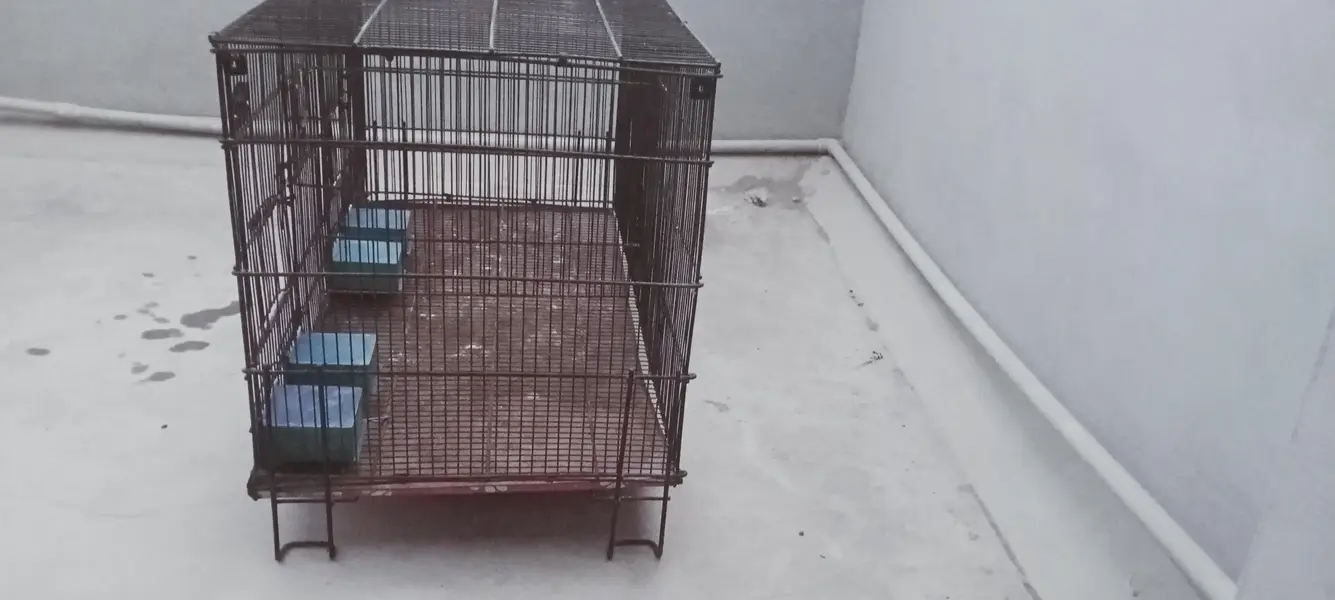 2 Portion Cage — photo 2